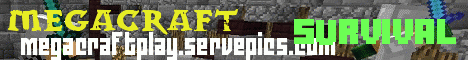 Mega Craft
